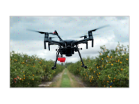 Image of a Drone In-Flight in a Citrus Grove